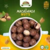 Chabi Wala Akhrot: 250g of Premium Roasted Macadamia Nut